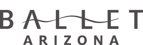 STUDIO COMPANY SI AUDITION logo
