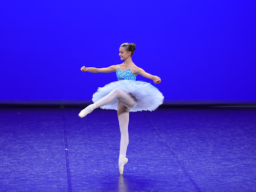 204-Viola_Imeri-Three_Odalisque_Le_Corsaire_60807.JPG.jpg