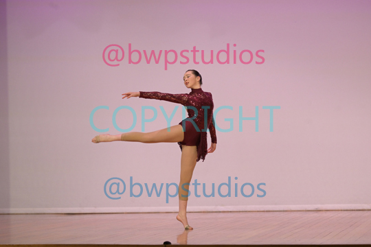 Contemporary_Pic_at_eisteddfod.png
