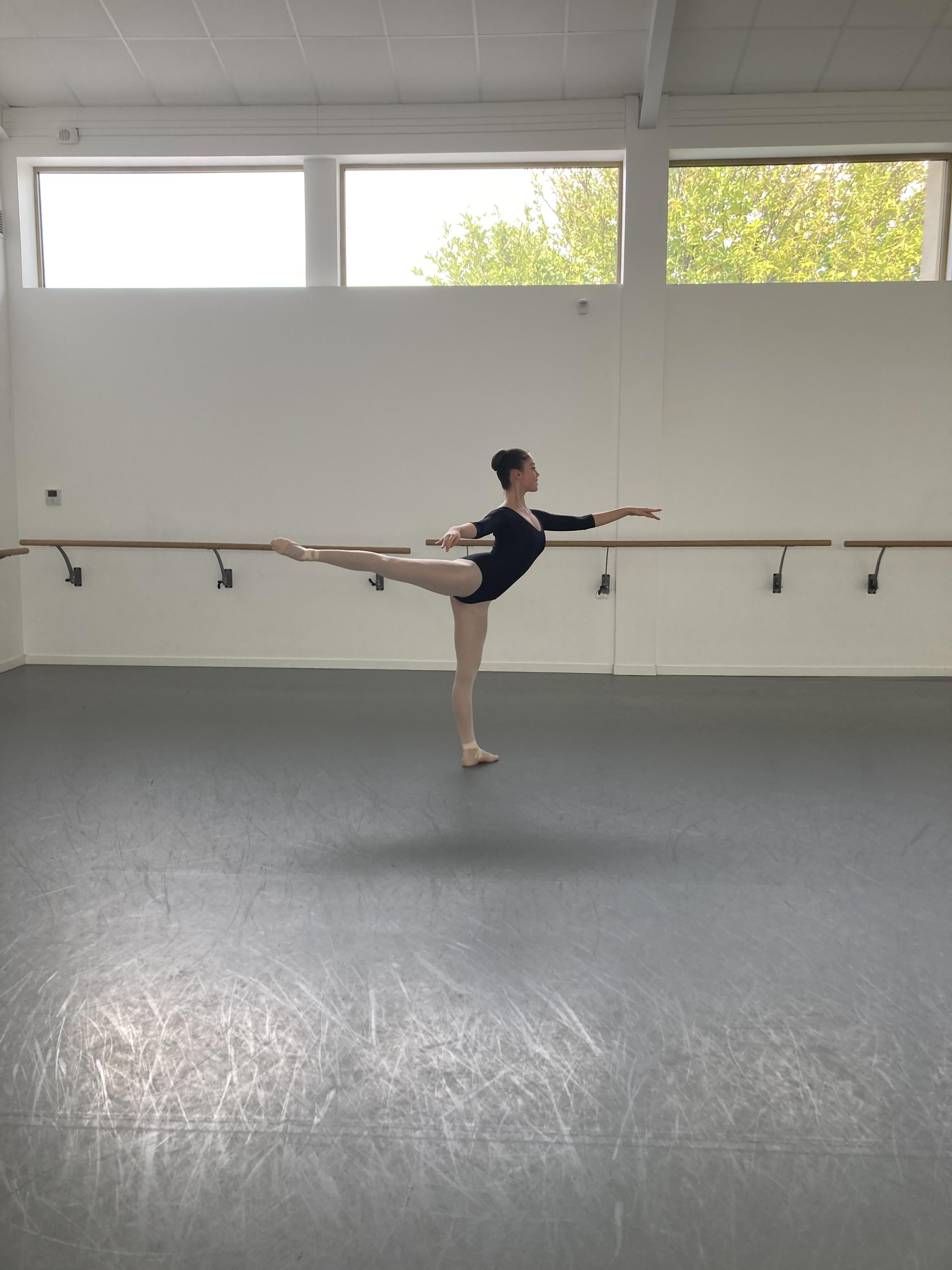 photo_arabesque_ballee.jpg