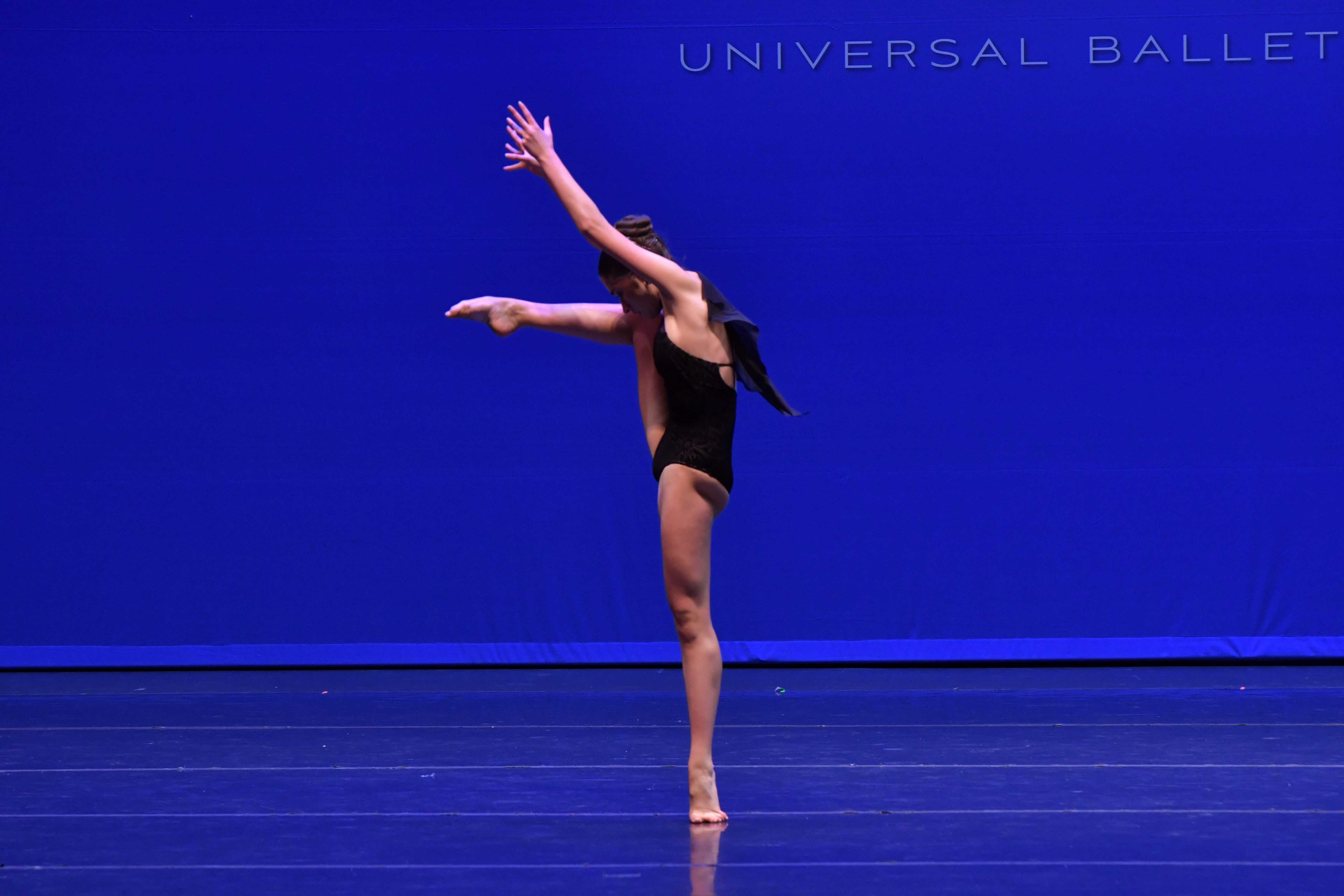 414_Investigation_THE_ACADEMY_OF_DANCE_ARTS_00011_-_Copy.jpg