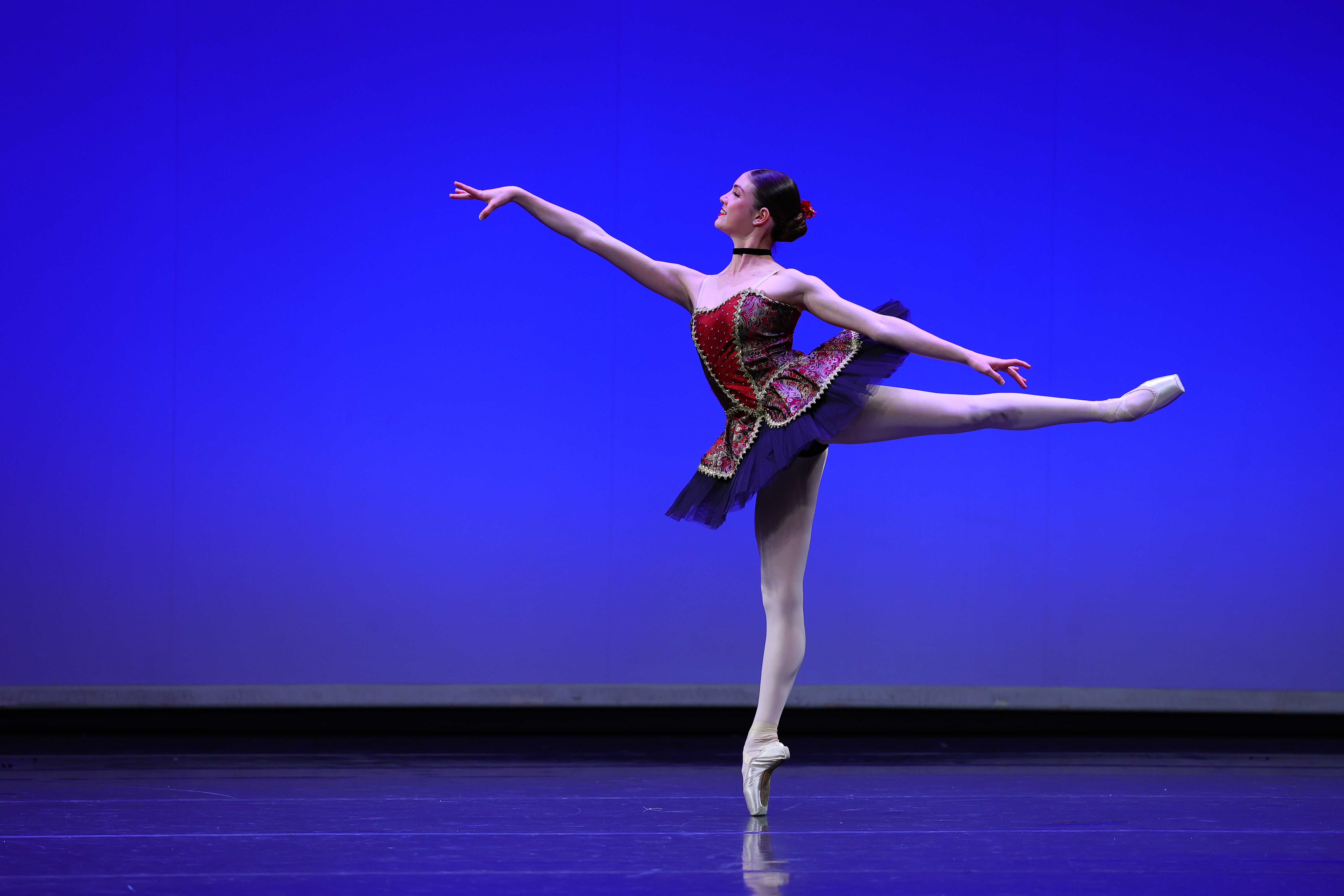 208HARLEQUINADEPASDEDEUX6331.jpeg