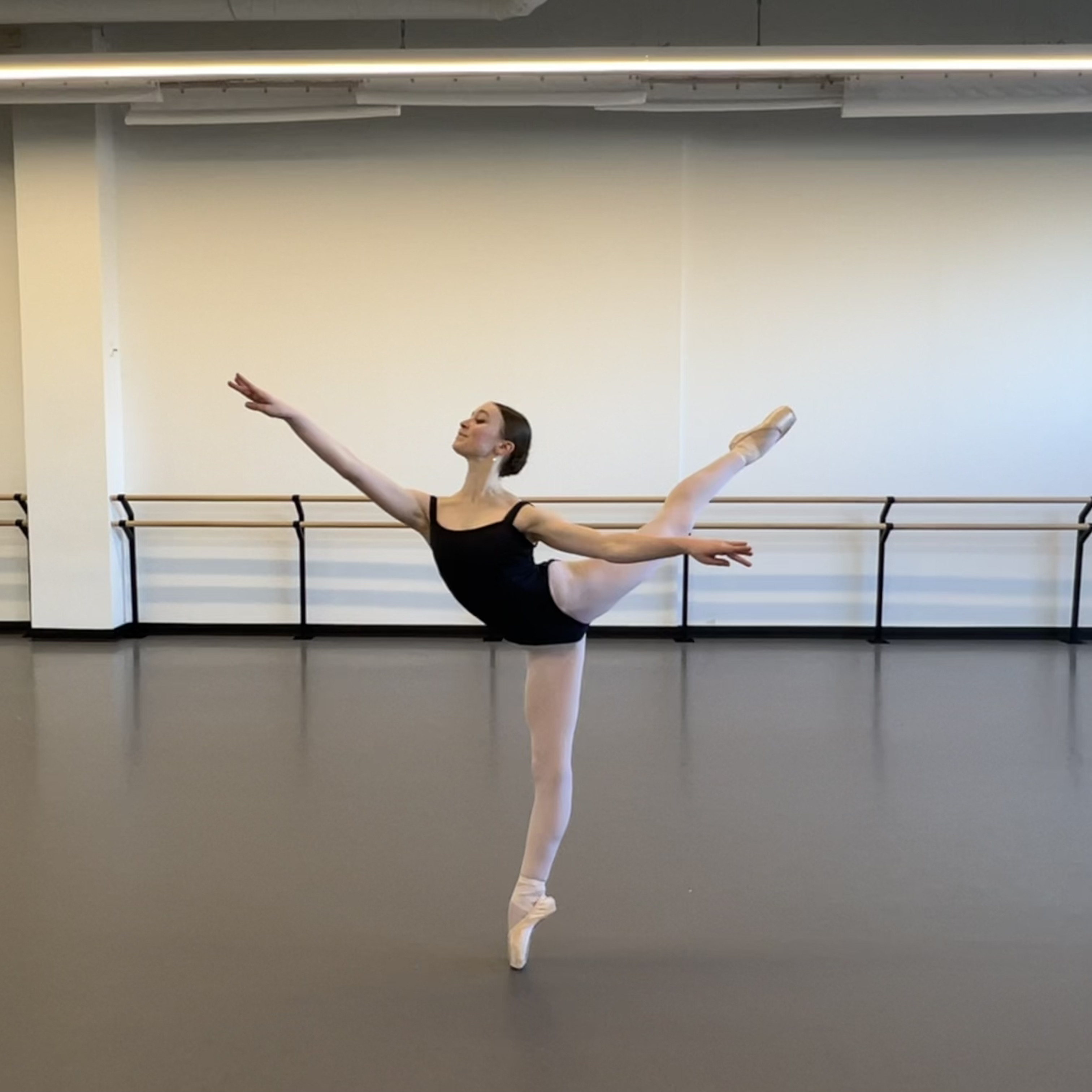 SashaZenginKaraianArabesque.jpg