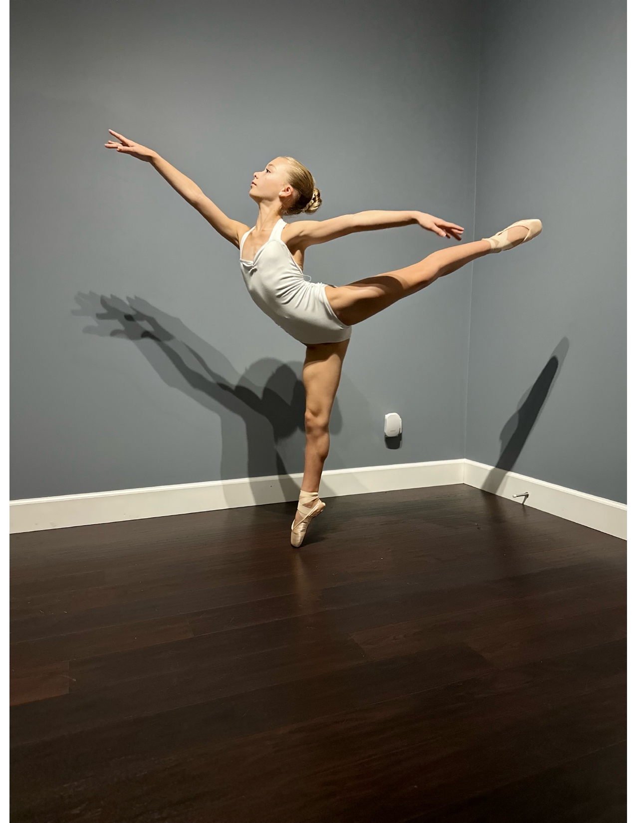 LOMNES_Colette_-_Provide_an_arabesque_photo_page-0001.jpg