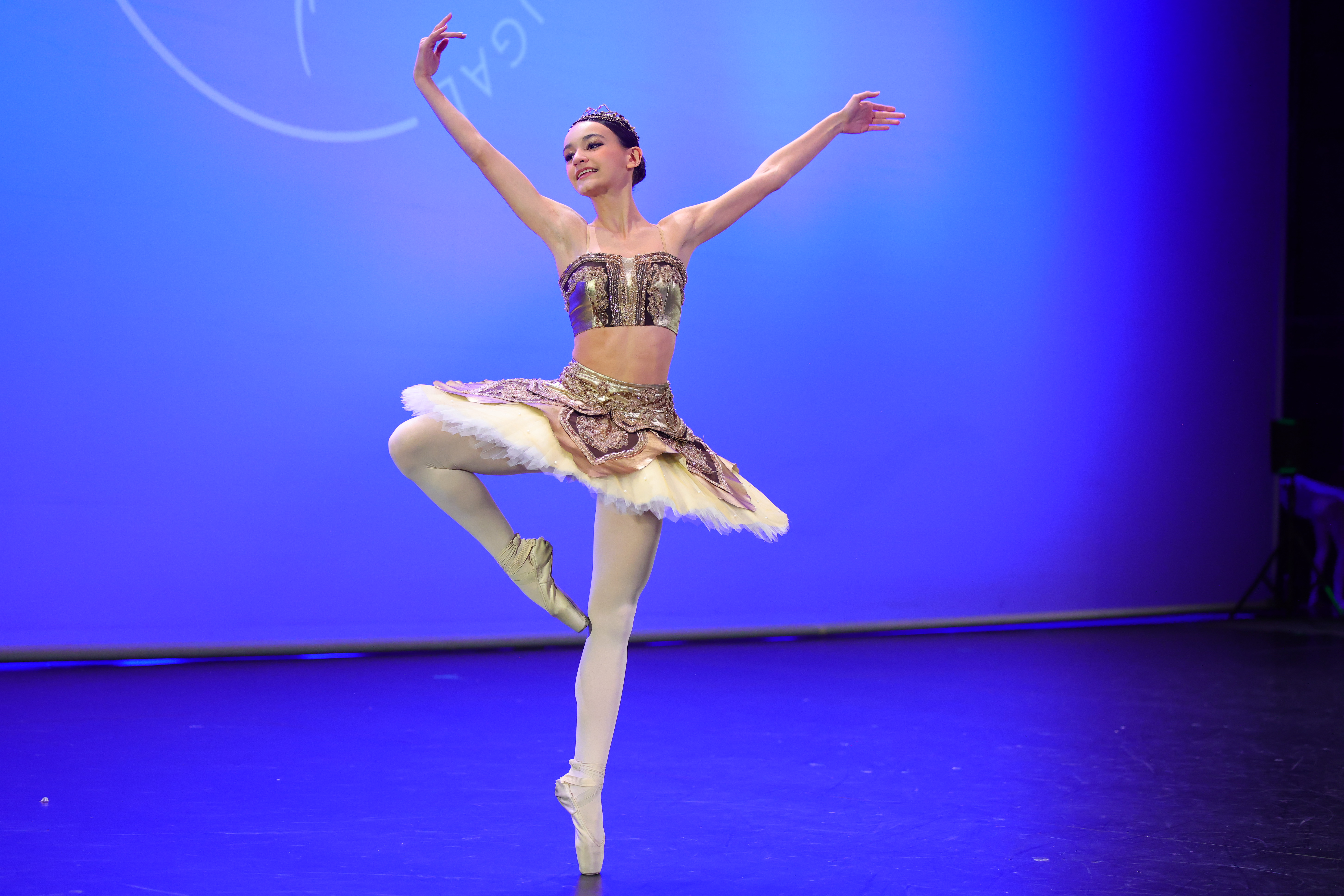 IMG-aeb8e7e6916a1715a24c9262e0424f41-V.jpg