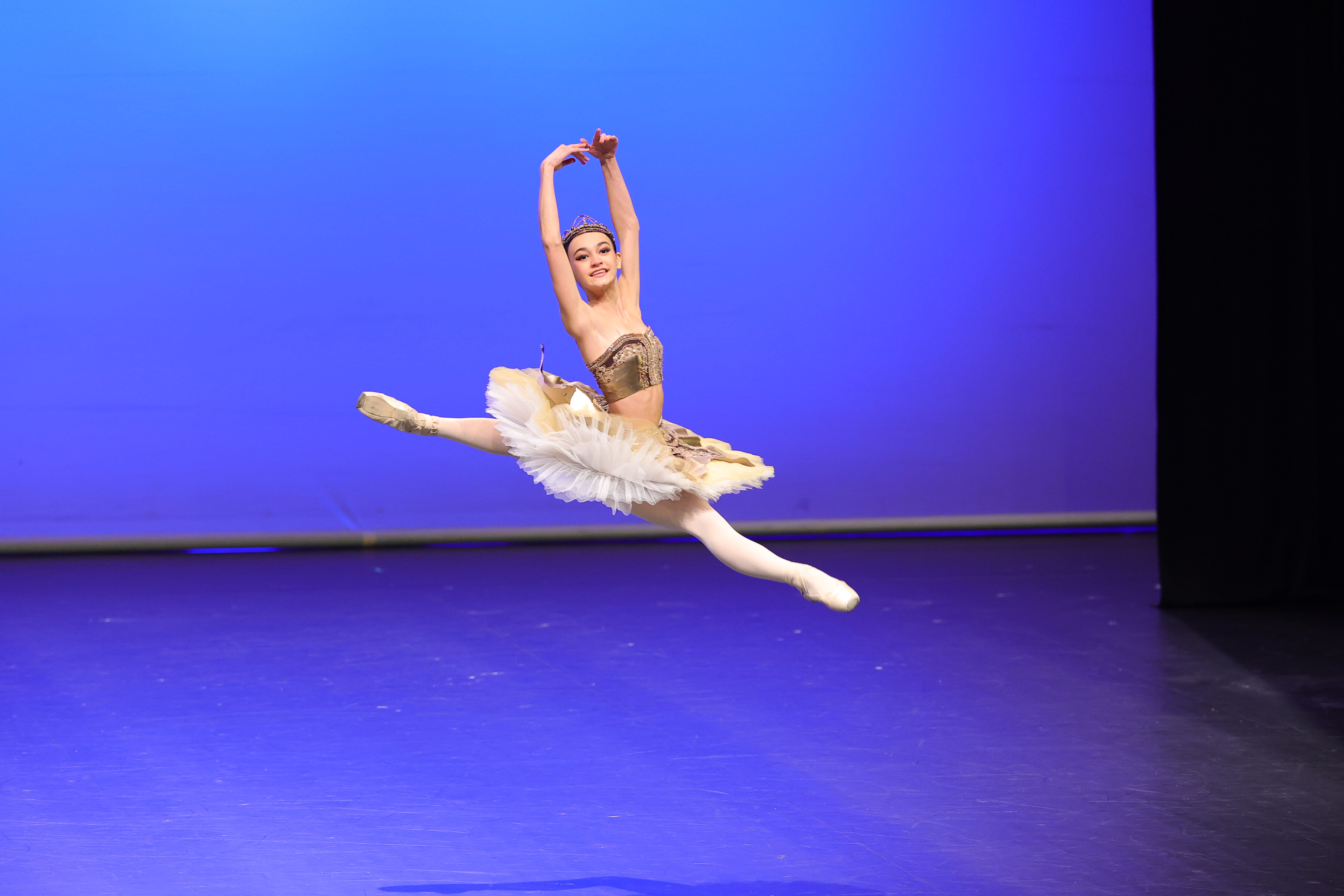 IMG-ca3448f61f80460c9ad4627f1fd53bbc-V.jpg