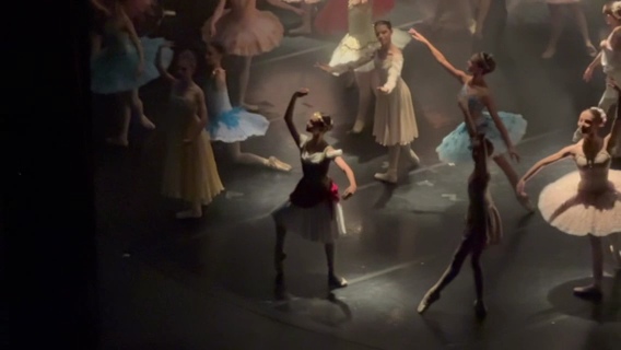 VideoCapture_20241030-121806.jpg